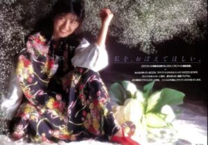 ONKYO　カタログ