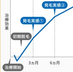 AGA治療　効果グラフ